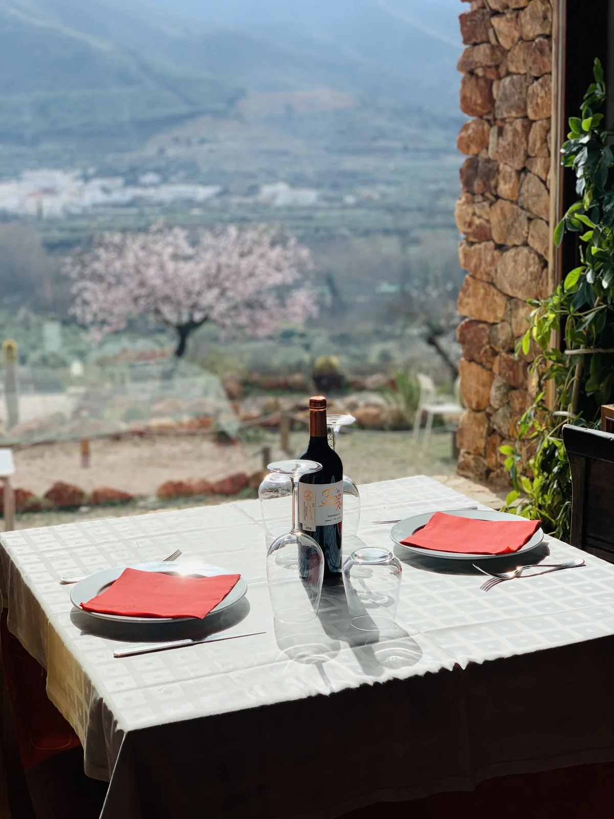 Terraza con Vistas a la Naturaleza