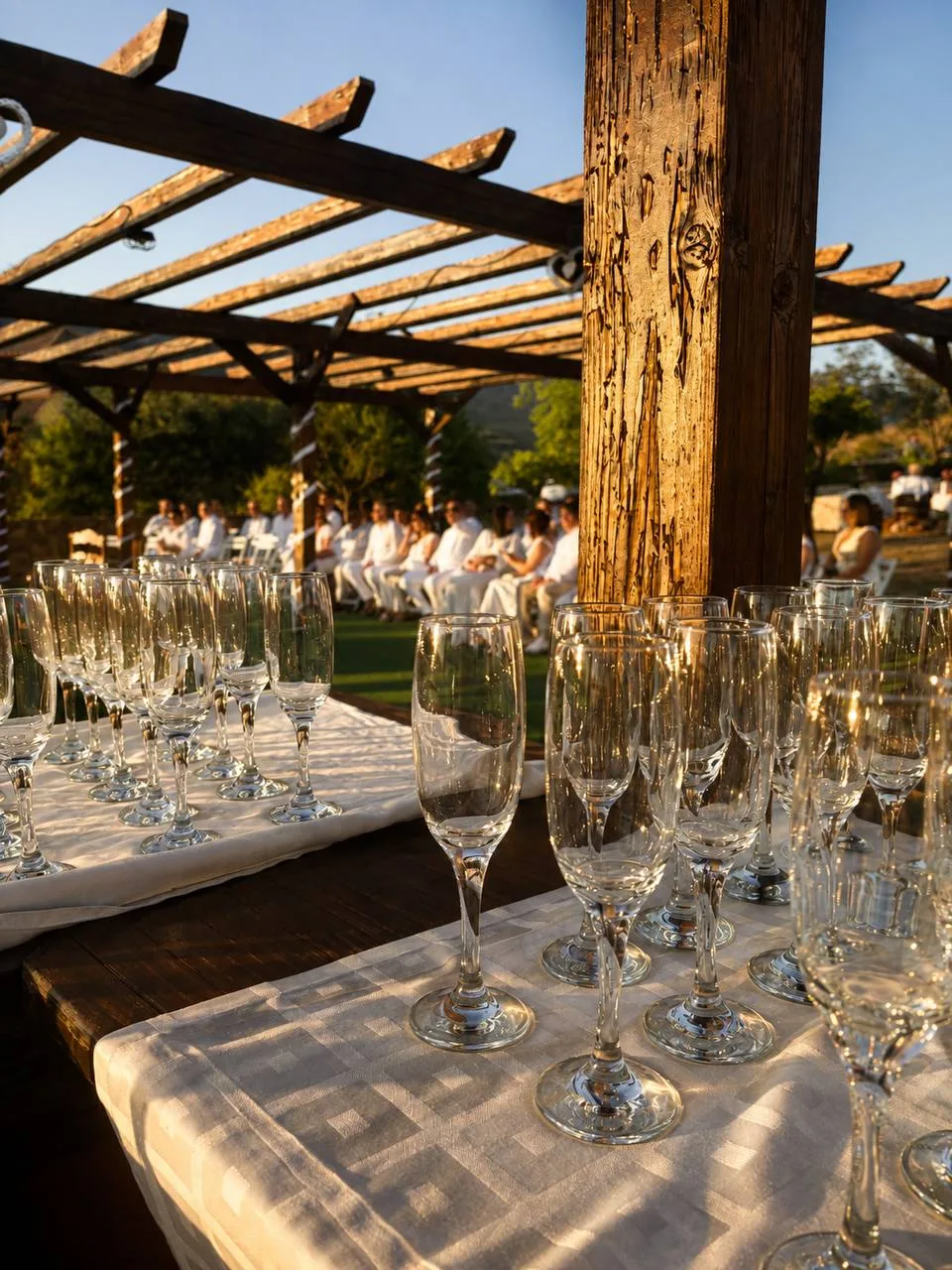 Copas de Cava al Sol de la Pérgola